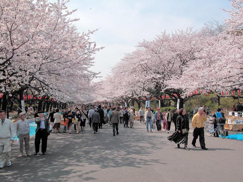 Mervielle Ueno Prefektura Tokio Exteriér fotografie